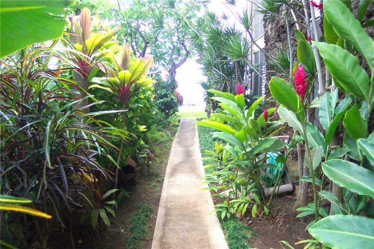 2 Bedroom Ocean Front In Honokowai - Sleeps 6 - Pikake #a6 Holiday home *