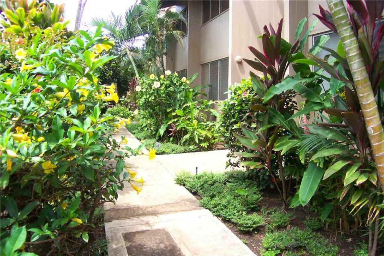 Holiday home 2 Bedroom Ocean Front In Honokowai - Sleeps 6 - Pikake #a6 Napili-Honokowai