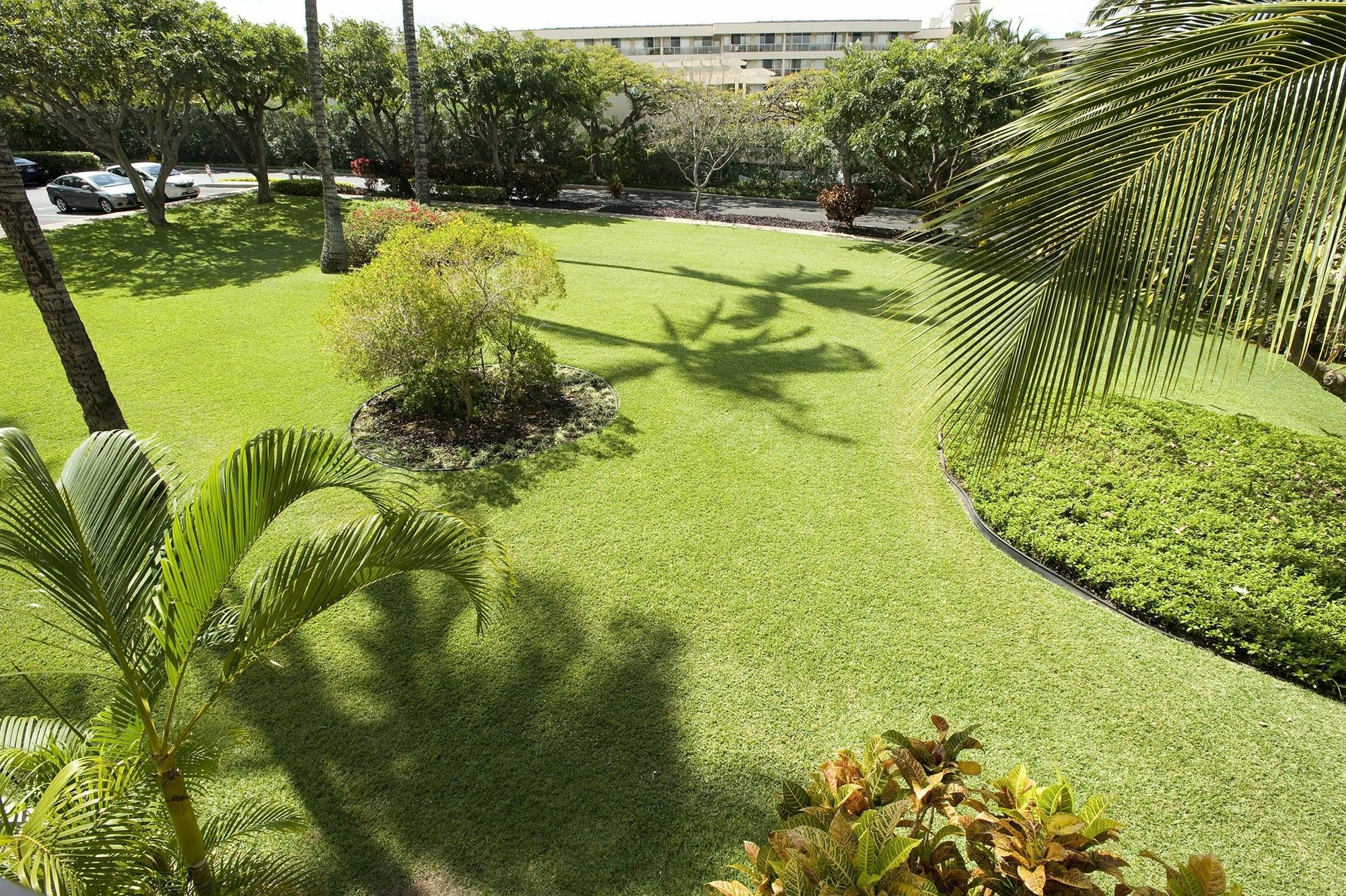 Kihei Akahi D-109 - One Bedroom Apartment