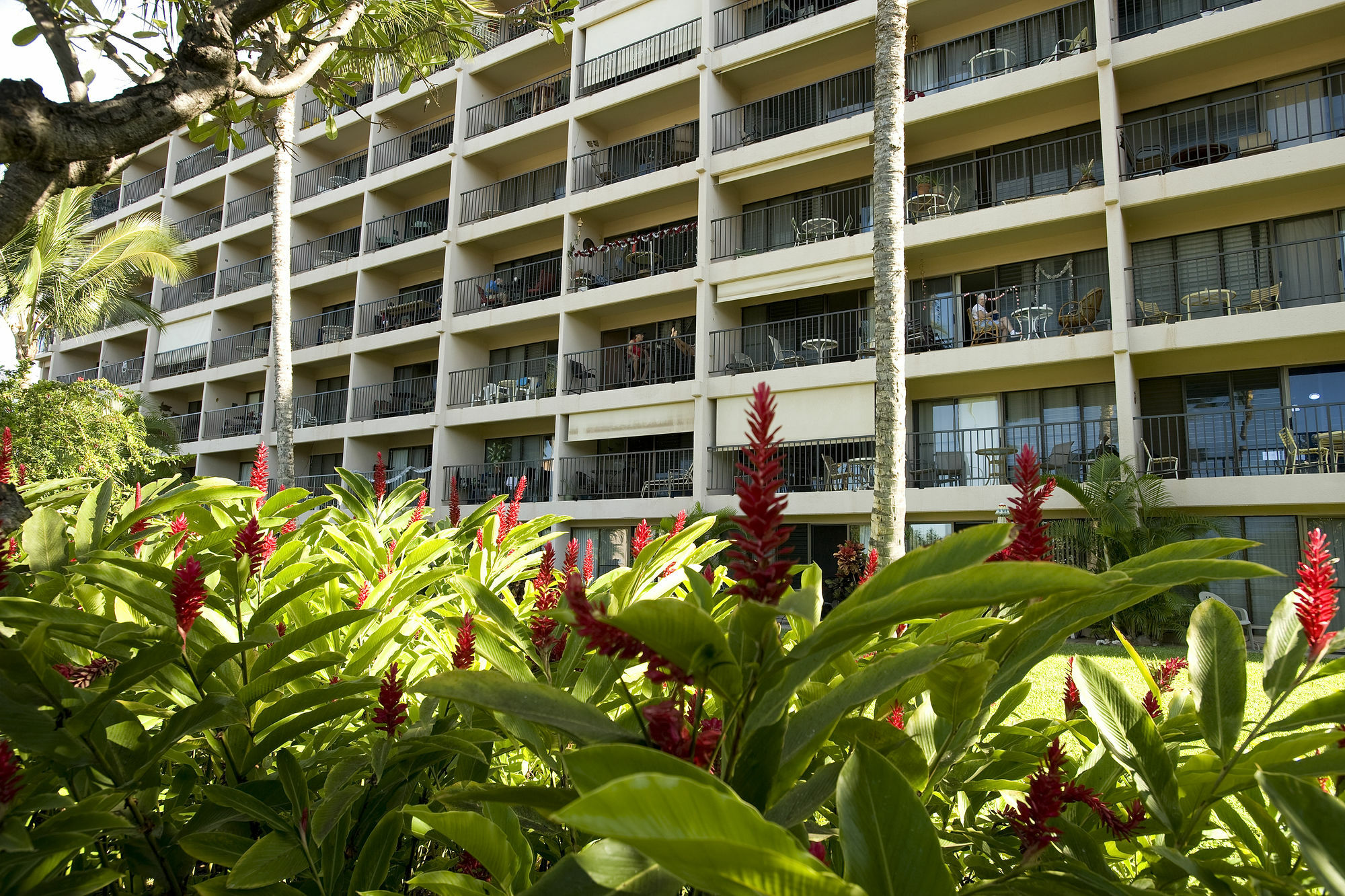 Kihei Akahi D-109 - One Bedroom * Waikapu