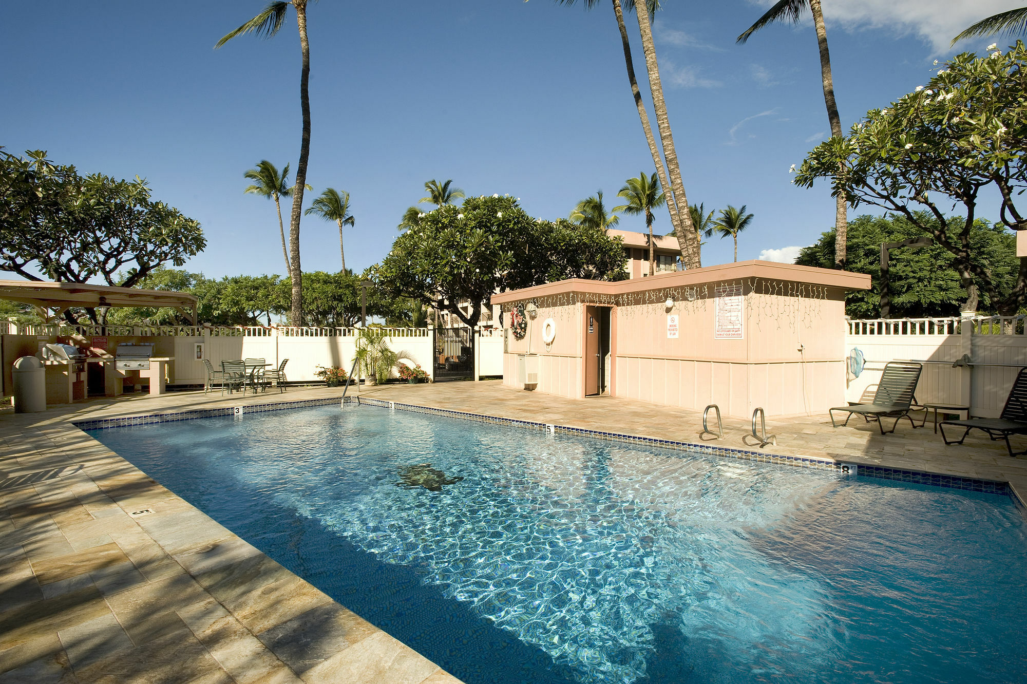 Apartment Kihei Akahi D-109 - One Bedroom