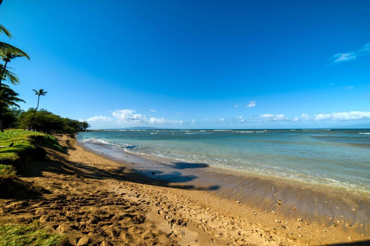 Gorgeous Oceanfront With Spectacular Views! Apartment *