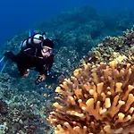 Wailea Ekahi 43D