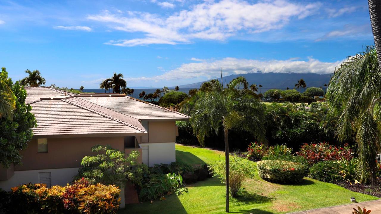 Maui Eldorado - D206