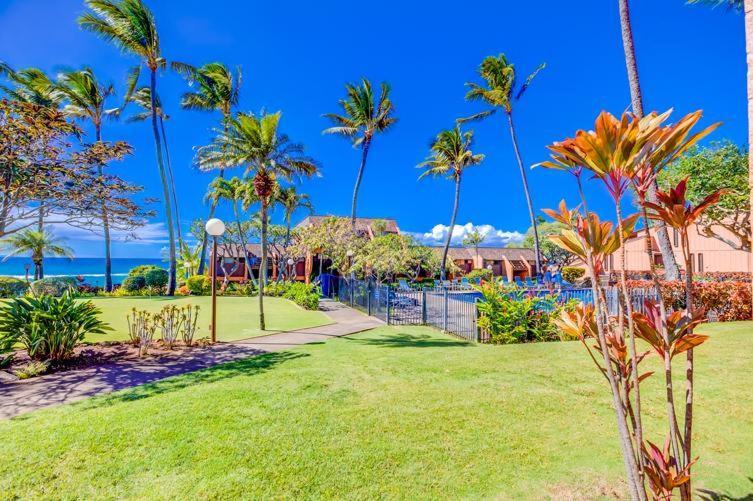 Kuleana 414 * Kahana