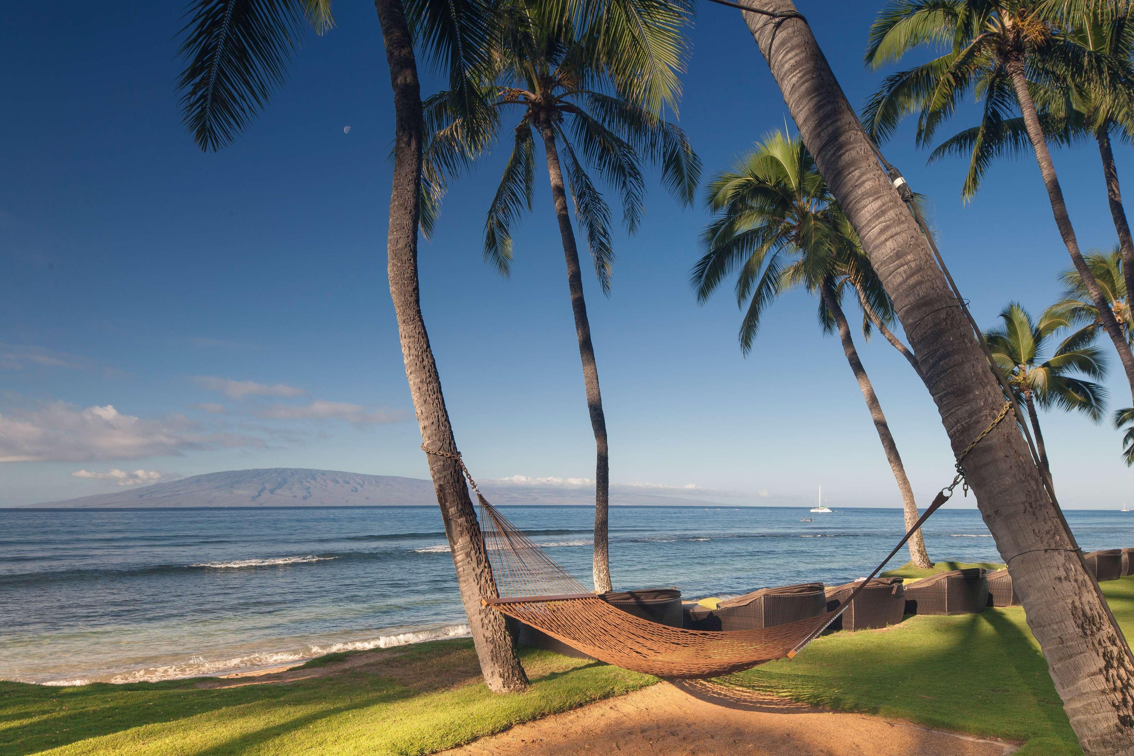 Hyatt Regency Maui & 4*