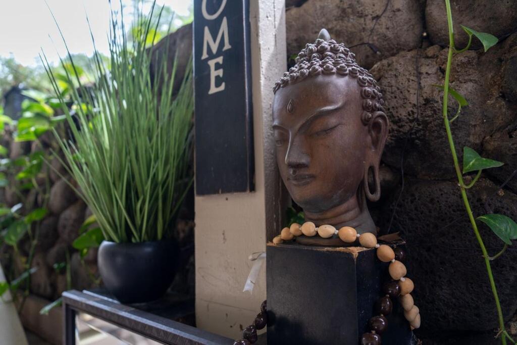 Apartment Unit 8 Maui Ohana Modern Wailuku