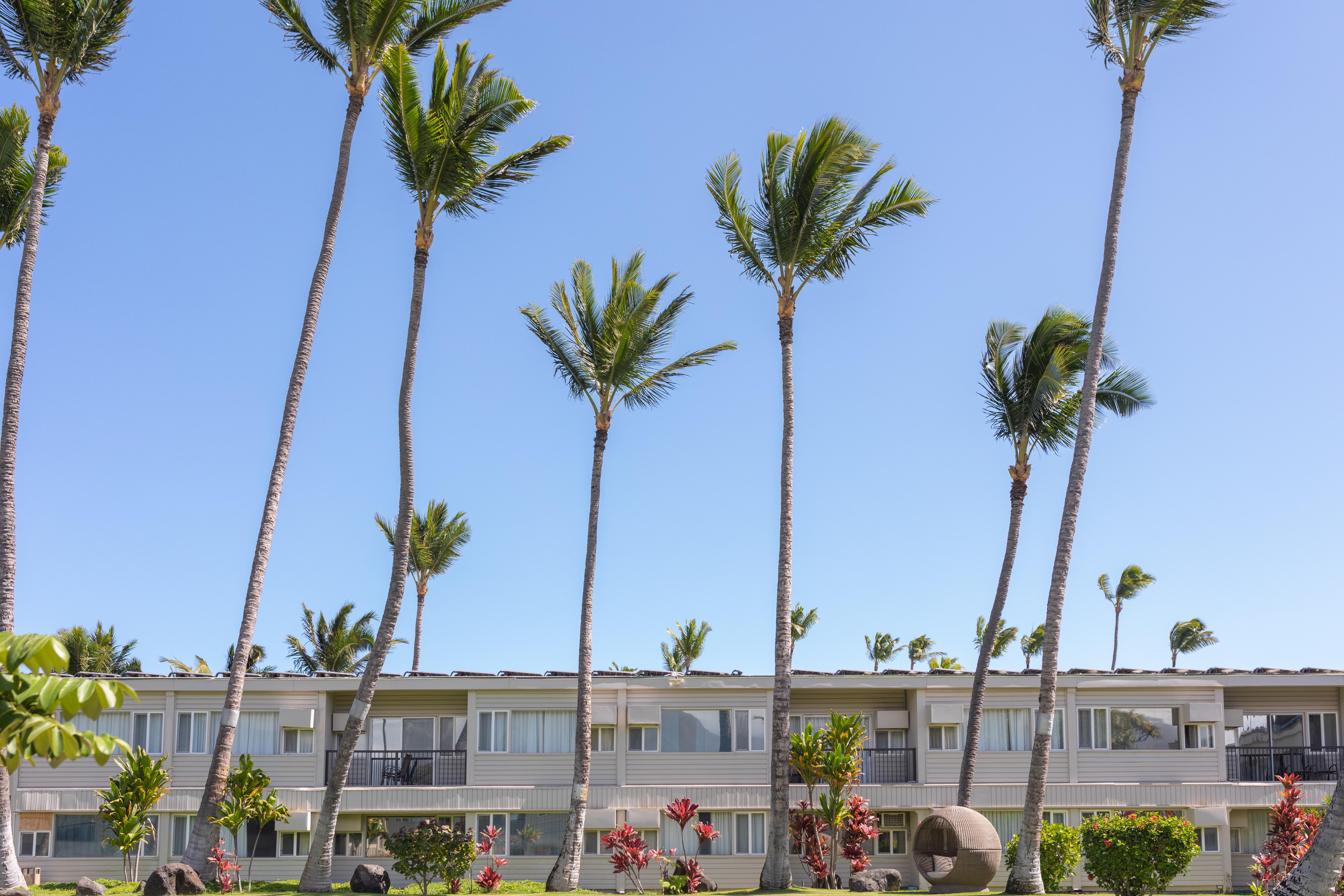 Maui Hotel