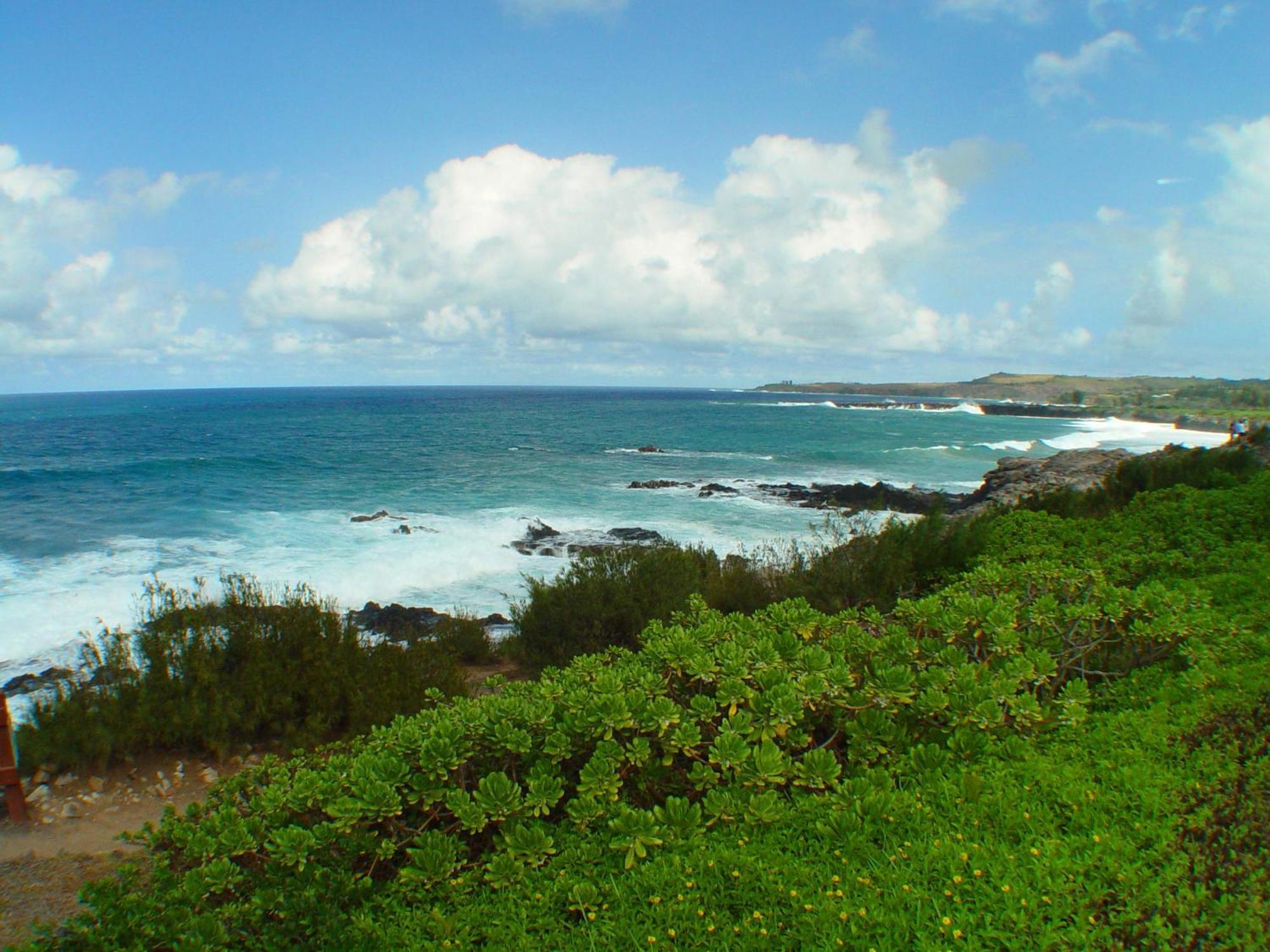 Kapalua Bay 33g2