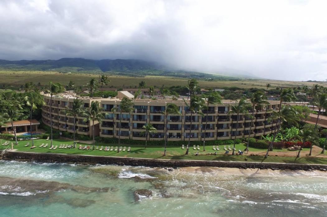 Paki Maui #109 Kahana