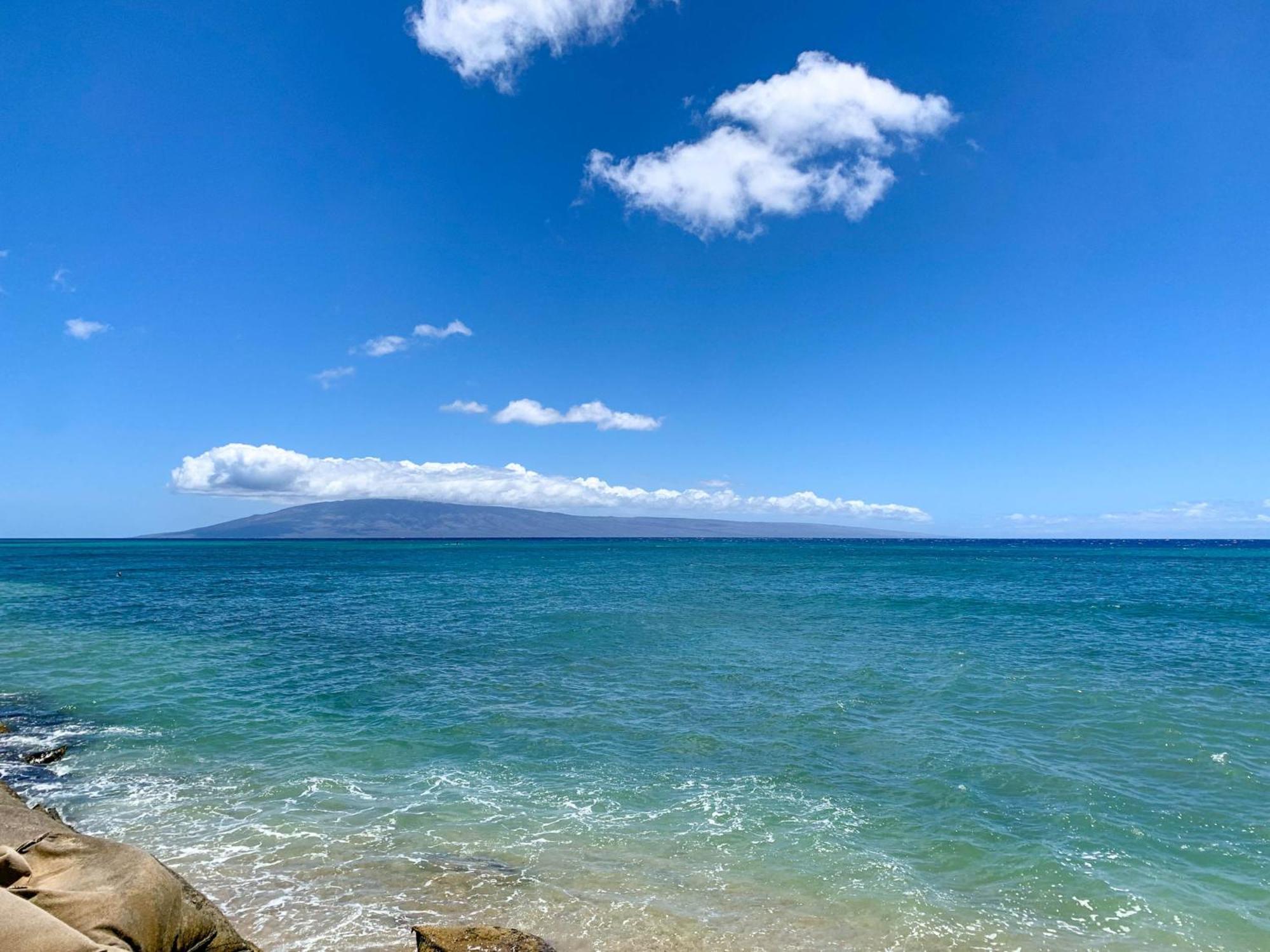 Royal 702 Kahana