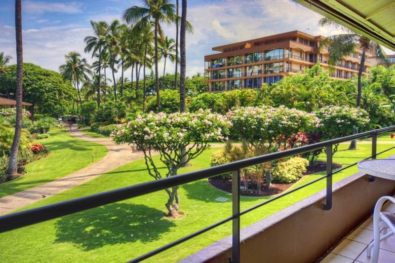 Maui Kaanapali E290