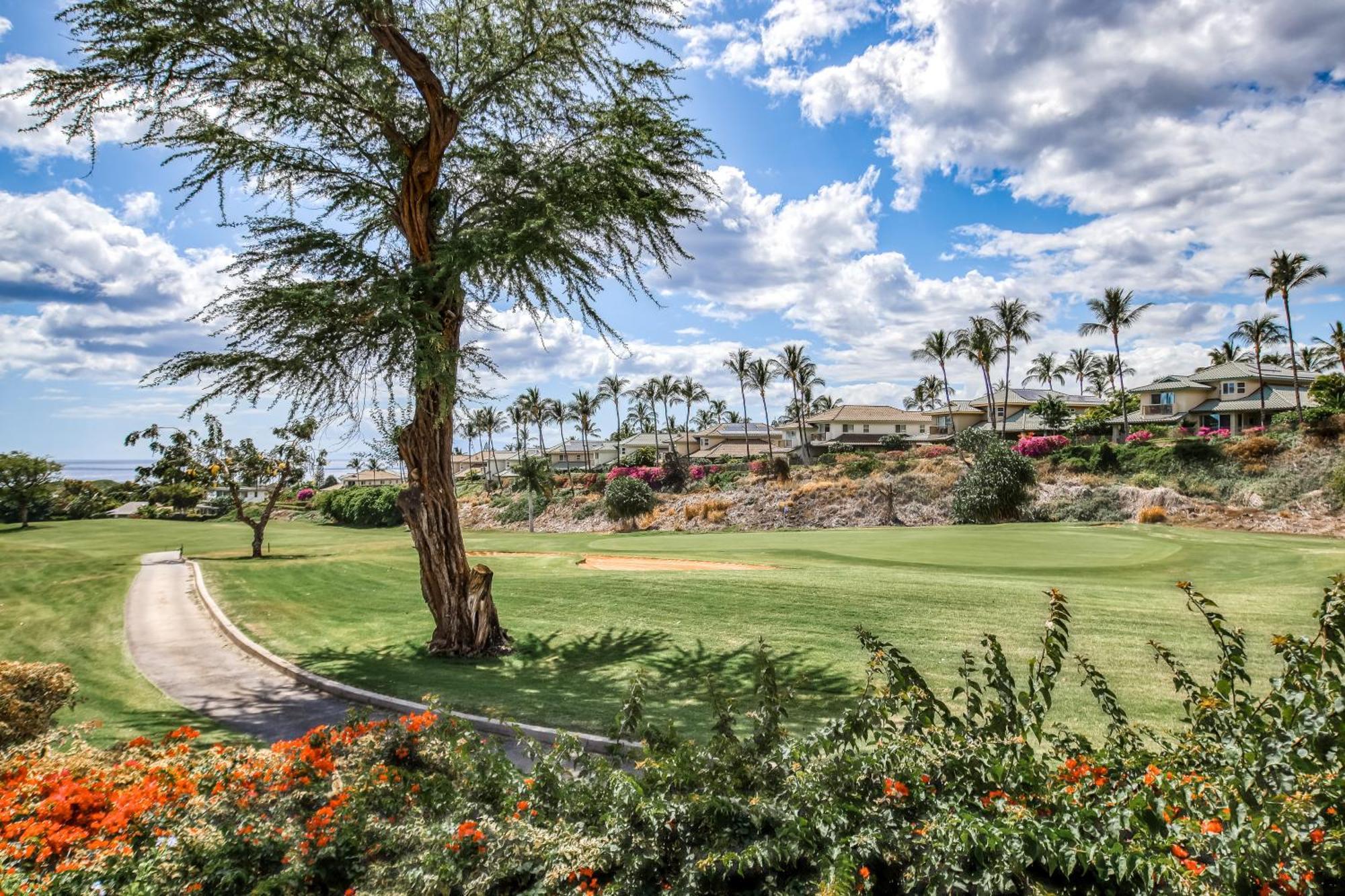 Wailea Grand Champions