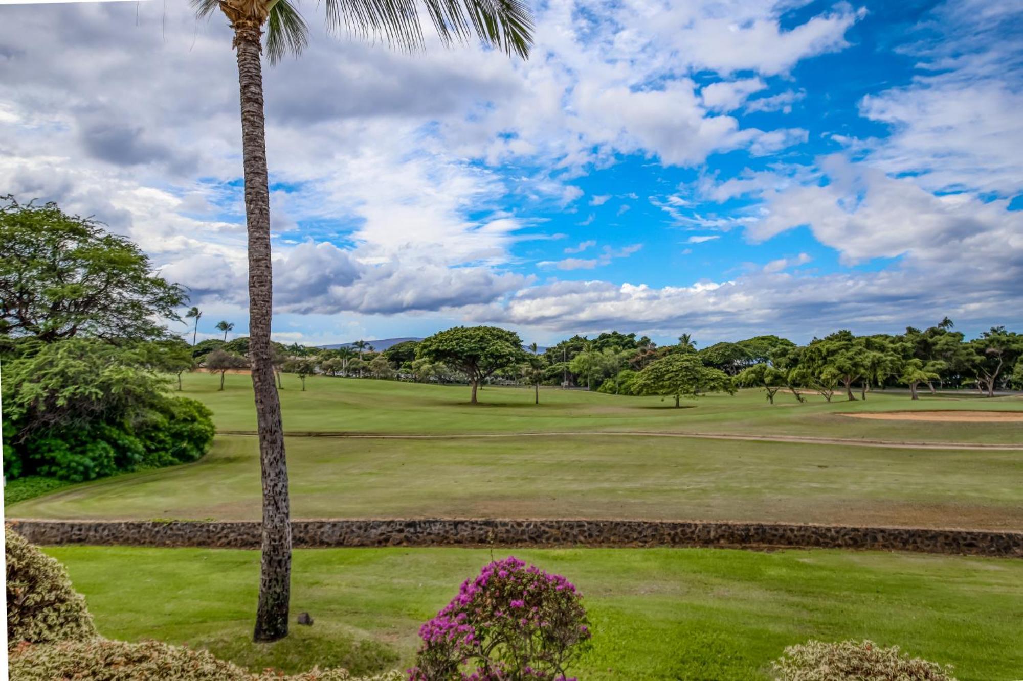 Wailea Grand Champions * Wailea (Maui)