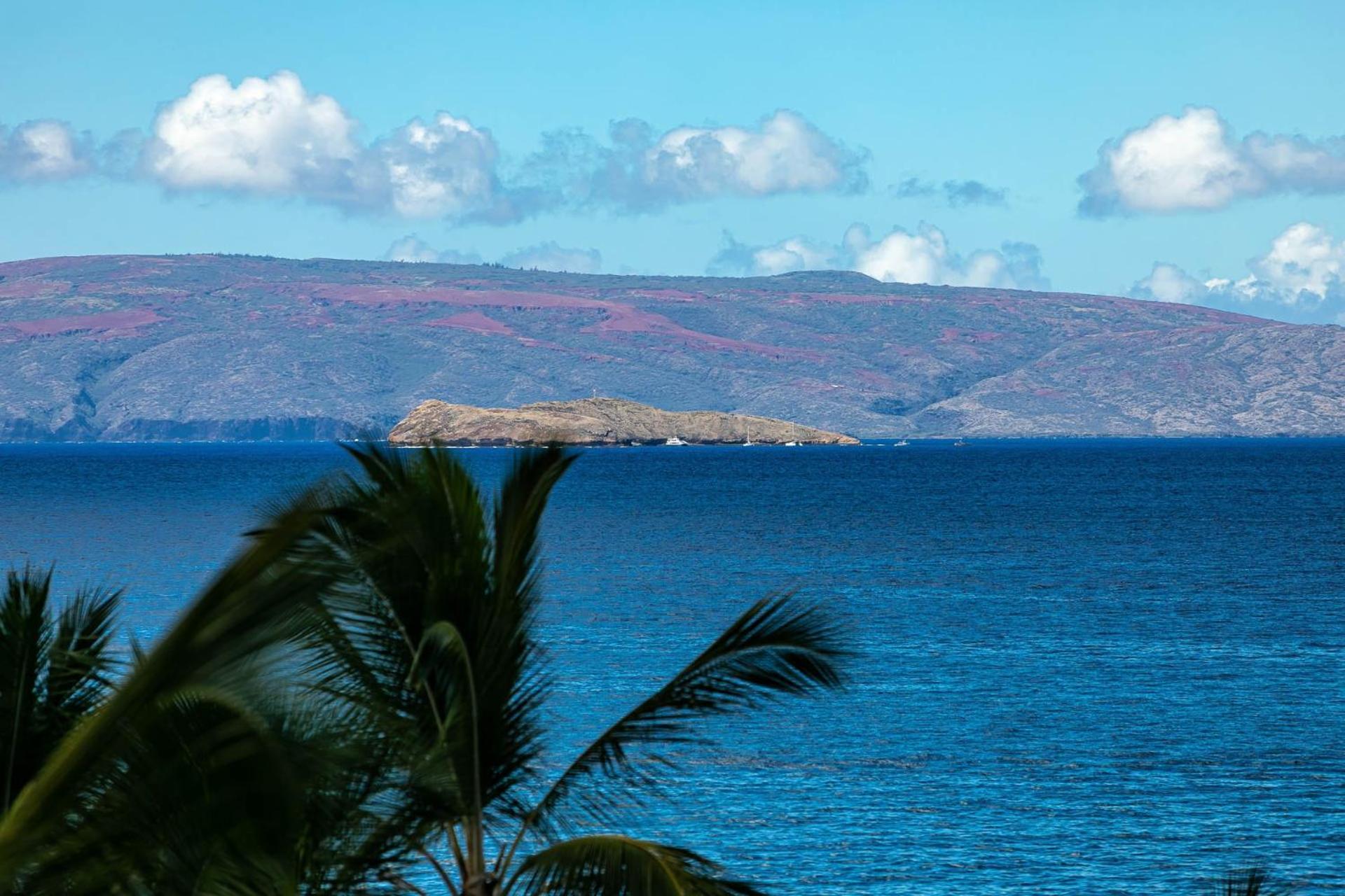 Polo Club Two Bedrooms - Sleeps 6 By Coldwell Banker Island Vacations *
