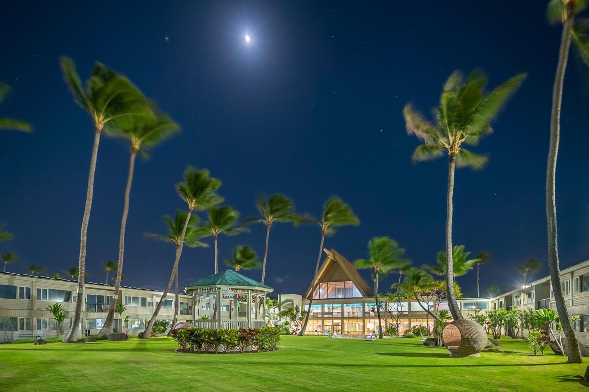 Maui Hotel 3*