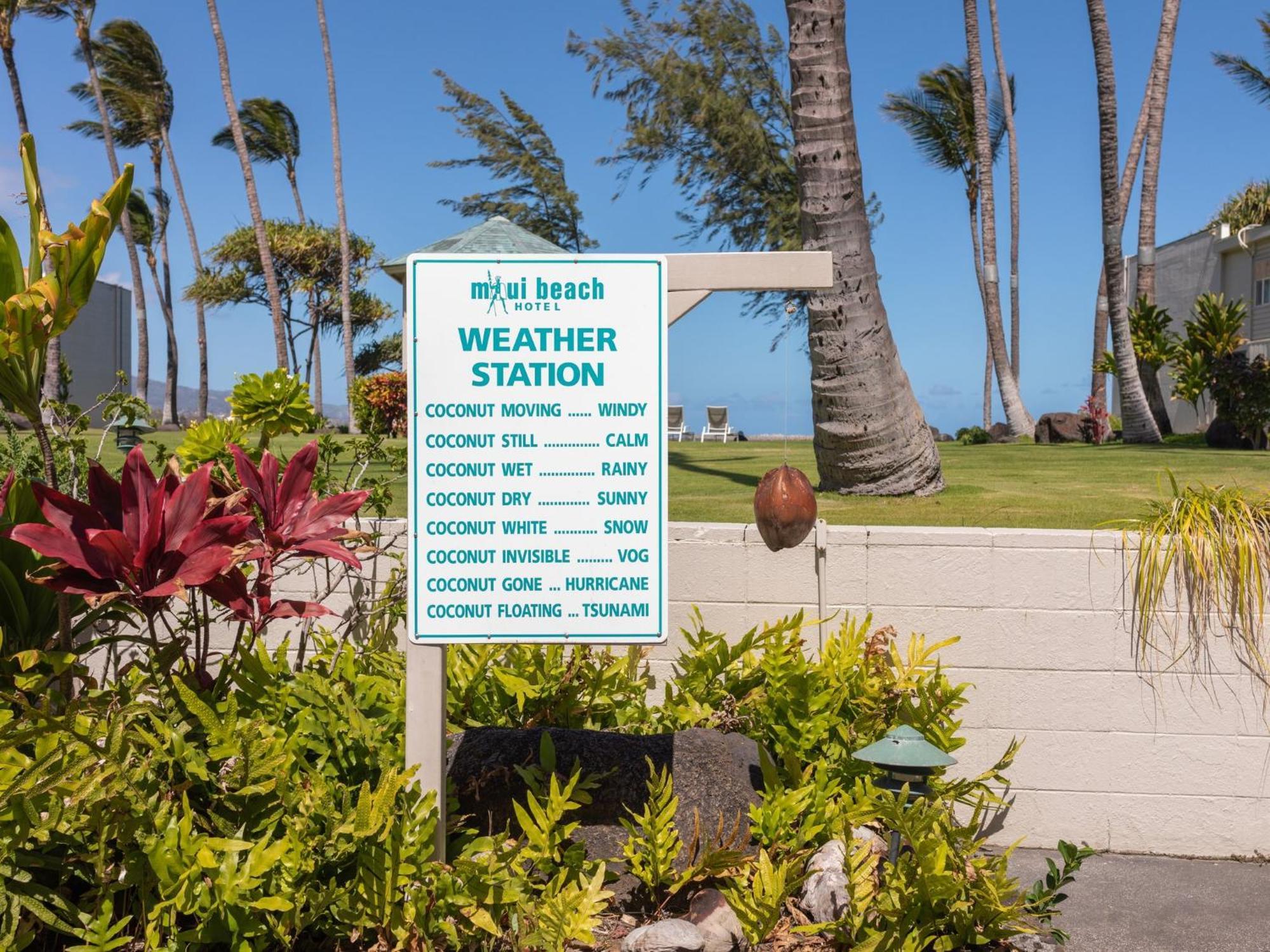 Hotel Maui Kahului