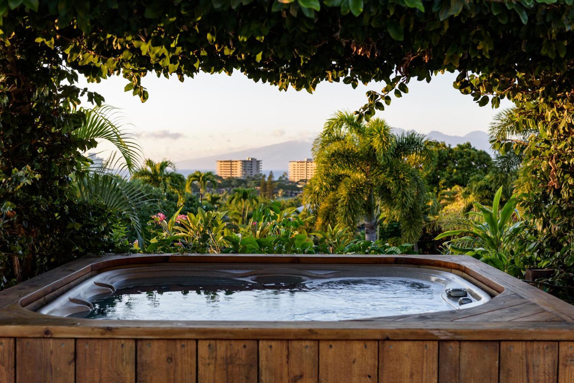 Summit At Kaanapali Vista-5b-5,5b Pool-ocean View Holiday home Lahaina