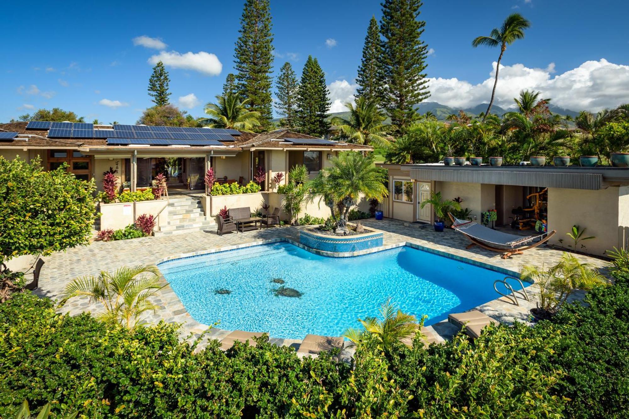 Summit At Kaanapali Vista-5b-5,5b Pool-ocean View Holiday home