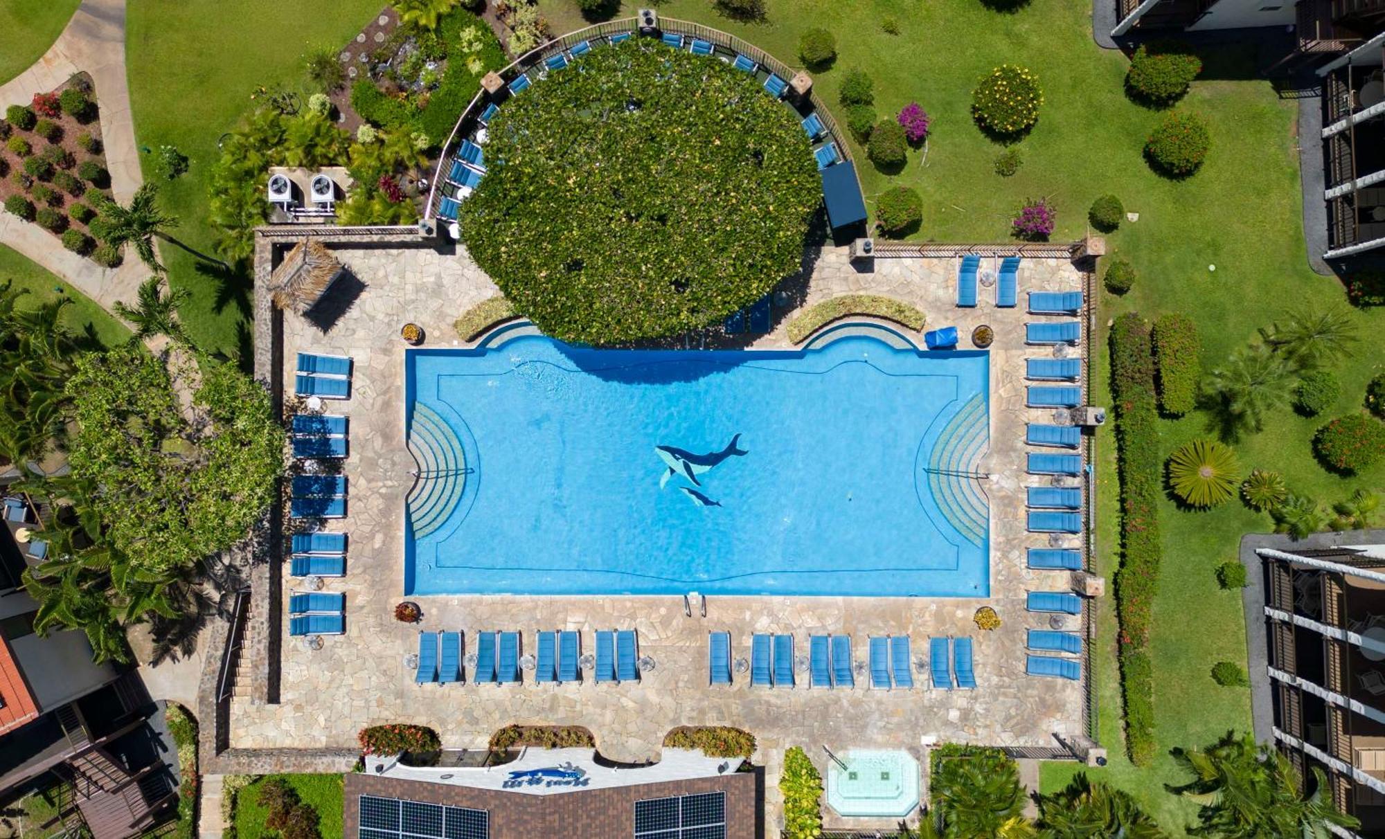 Aston Maui Hill Aparthotel 3*
