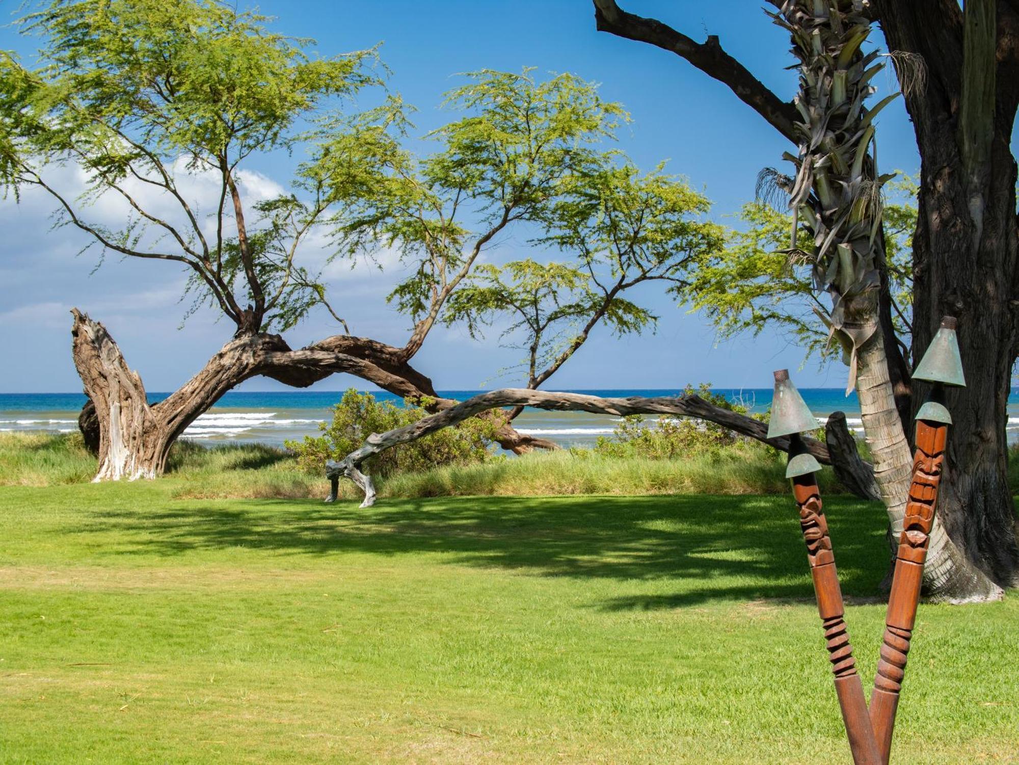 Aloha Aku Cocopalm2 - Your Cozy Beachfront Escape Kihei