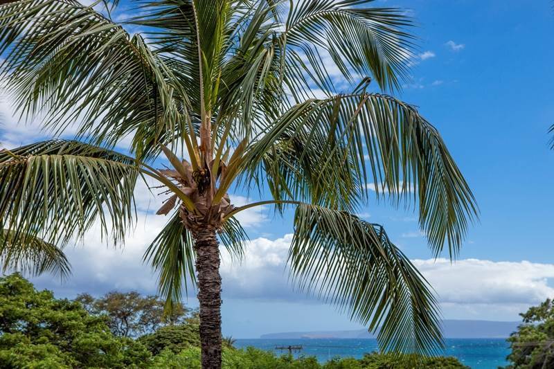 Aparthotel Maui Vista By Maui And