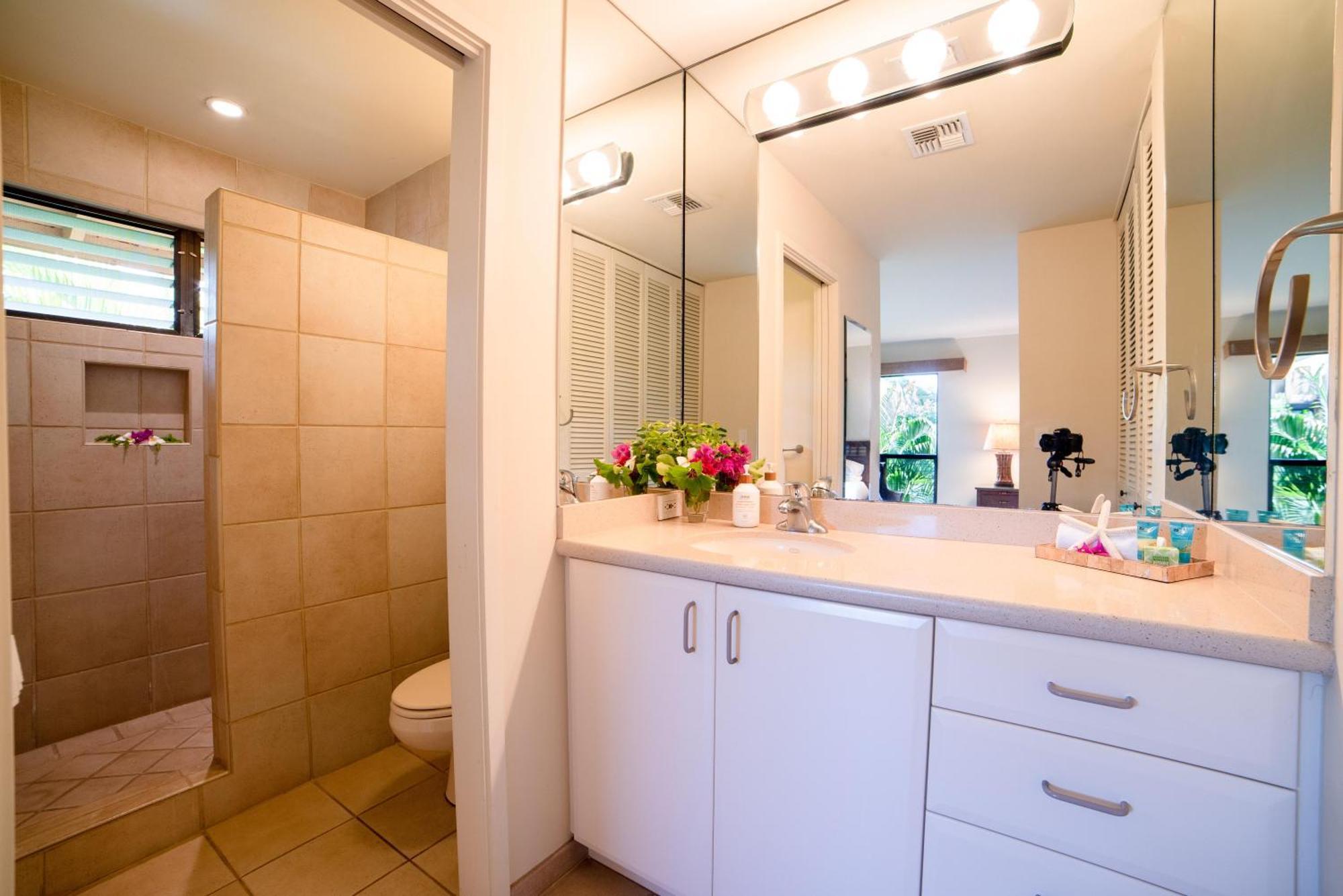 Wailea Ekahi 17d Holiday home *