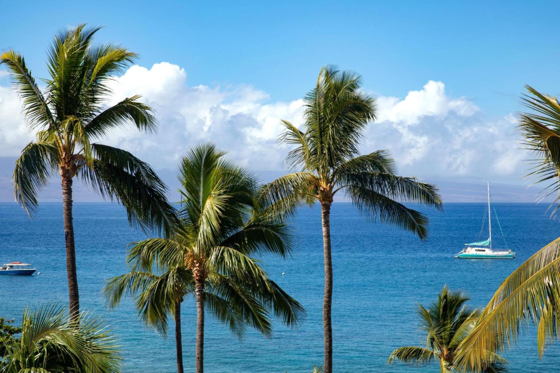 Kbm Free Car The Whaler Wh2-661 Sweeping Ocean Views Newly Furnished 2023 * Kaanapali