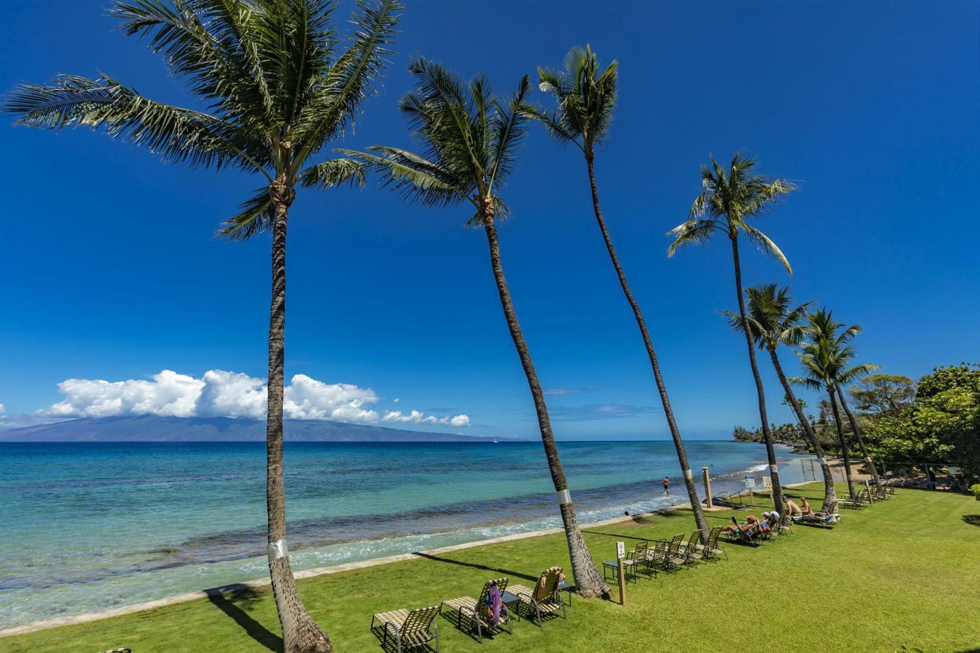 Paki Maui #109 *