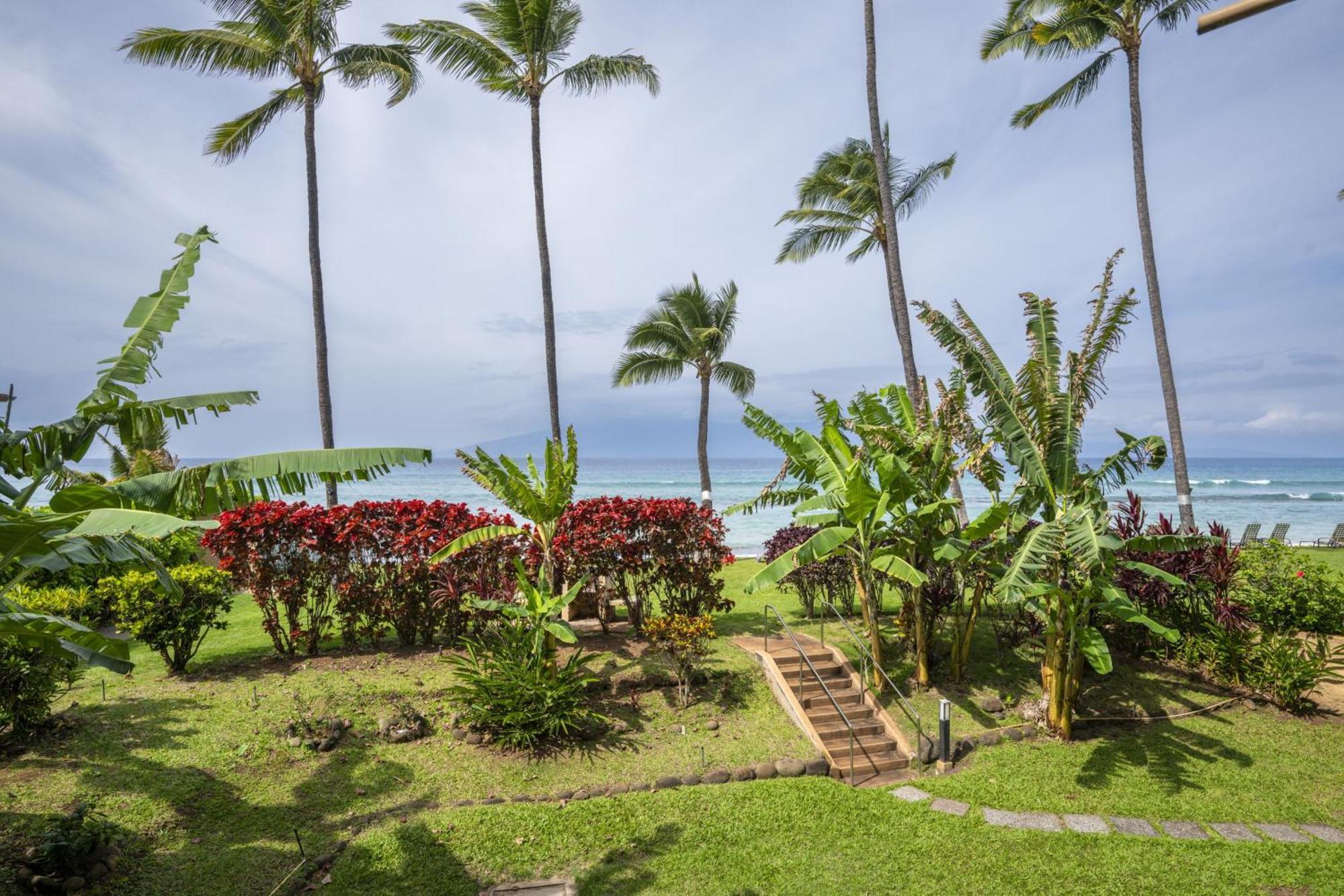 Paki Maui #109 * Kahana