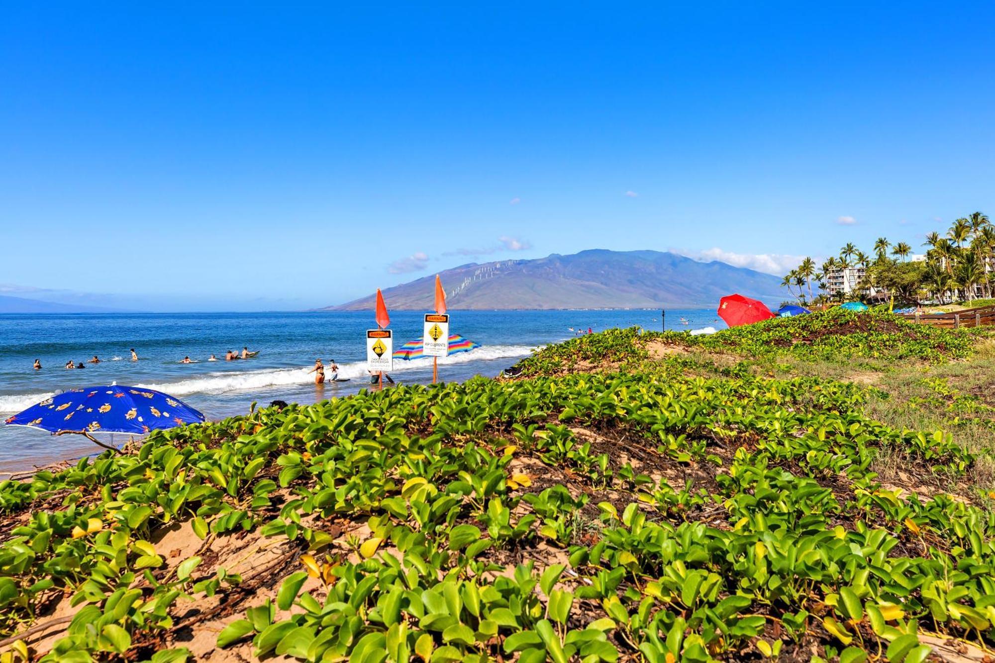 Ob - Maui Banyan P409 Wailea (Maui)