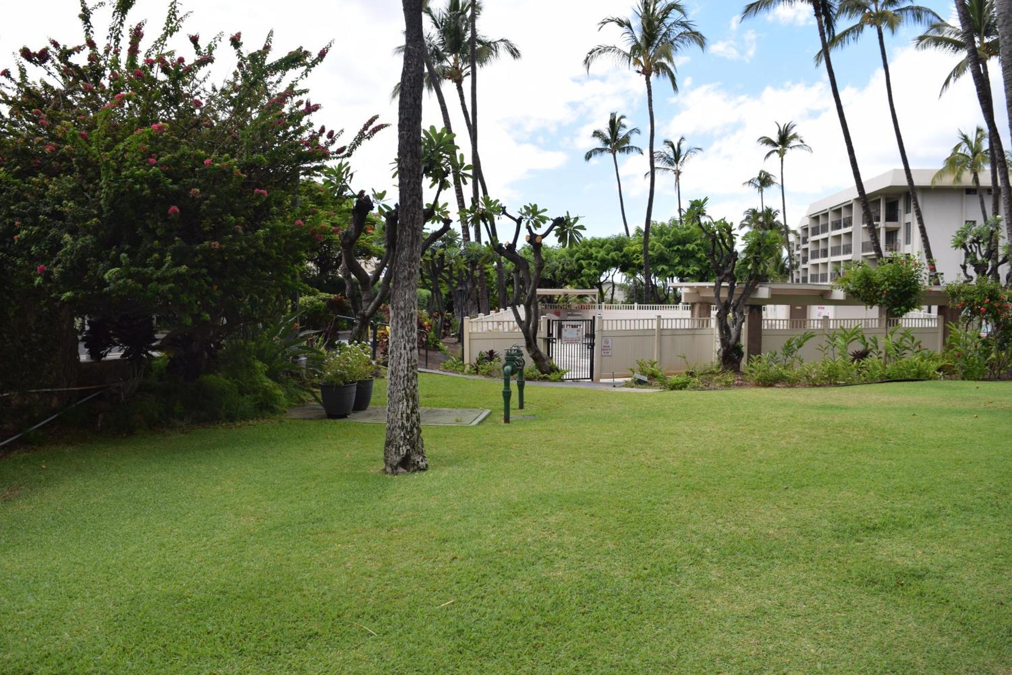 Ground Floor Garden View Unit With Great Amenities Apartment