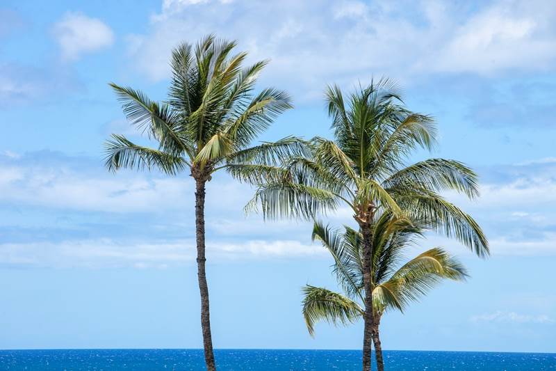 Leinaala Maui And Hotel