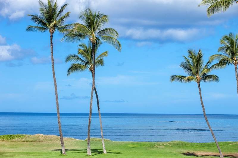 Hotel Leinaala Maui And 2*