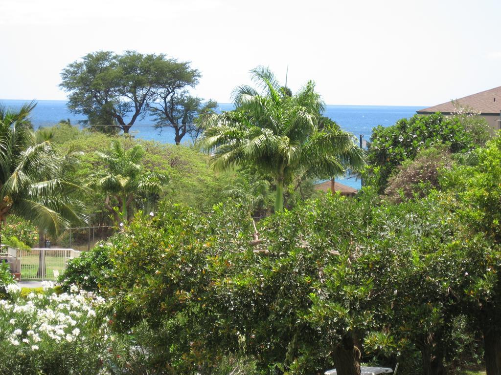 Maui Vista By Maui And 2* Kihei