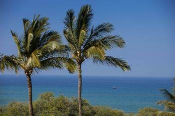 Maui Kamaole By Maui Inc Hotel 3*