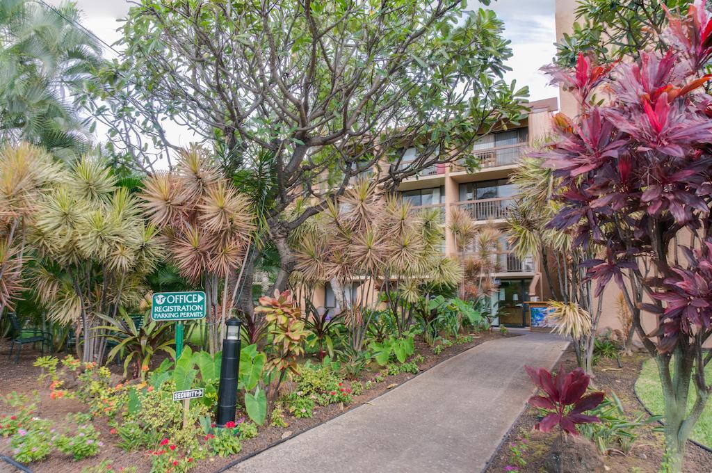 Maui Vista By Maui And 2*